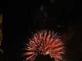 IMG_4574.JPG