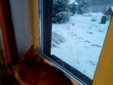 IMG_20250501_201059_MP.jpg