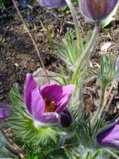 IMG_20250515_144632_1.jpg