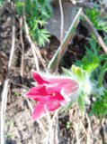 IMG_20250515_144627.jpg