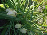 IMG_20250515_145007.jpg
