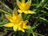 IMG_20250515_144357.jpg