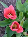 IMG_20250515_144559.jpg