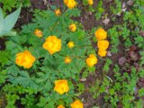 IMG_20250522_193439_1.jpg