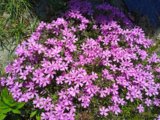 IMG_20250520_151650.jpg