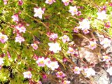 IMG_20250520_155657_1.jpg