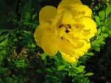 IMG_20250520_151818_1.jpg