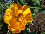 IMG_20250520_160711.jpg
