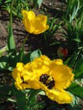 IMG_20250520_160717.jpg