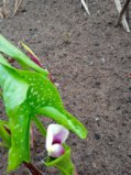 IMG_20250522_193506_1.jpg