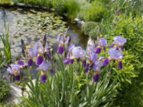 DSCN0060.JPG