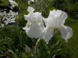 DSCN0064.JPG