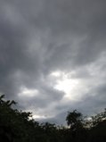 IMG_20250618_183248_1.jpg