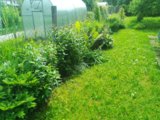 IMG_20250704_122622_MP.jpg