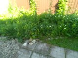 IMG_20250704_145338_MP.jpg