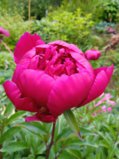 IMG_20250701_161407_1.jpg