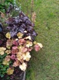 IMG_20250707_164646_1.jpg