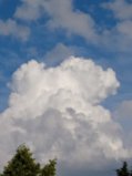 IMG_20250715_181610_1.jpg