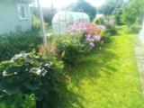 IMG_20250810_092648_MP.jpg