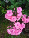 IMG_20250810_181457_1.jpg