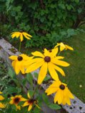 IMG_20250810_181254.jpg