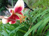 IMG_20250816_193517_1.jpg