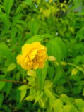 IMG_20250818_171927_1.jpg