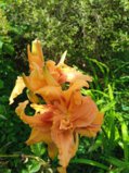 IMG_20250818_170658_1.jpg