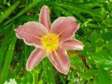 IMG_20250818_171619_1.jpg