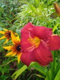 IMG_20250818_170606_1.jpg