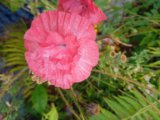 IMG_20250818_171938.jpg