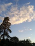 IMG_20250813_201644.jpg