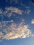 IMG_20250813_201527.jpg