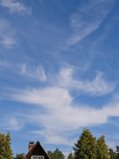 IMG_20250815_145356_1.jpg