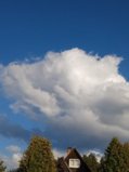 IMG_20250909_165126_1.jpg