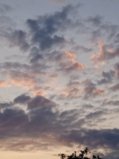 IMG_20250921_190240.jpg