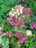 IMG_20250916_164553.jpg