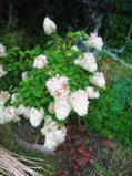 IMG_20250916_164605_1.jpg