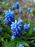 IMG_20260501_170316_1.jpg