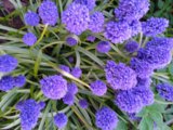 IMG_20260511_204015.jpg