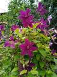 IMG_20260714_163835_1.jpg