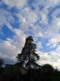 IMG_20260808_191645_1.jpg