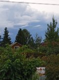 IMG_20260818_173238.jpg