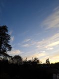 IMG_20260922_184401.jpg