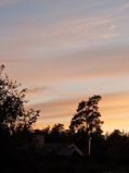 IMG_20260922_190257_1.jpg