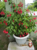 IMG_6130.JPG